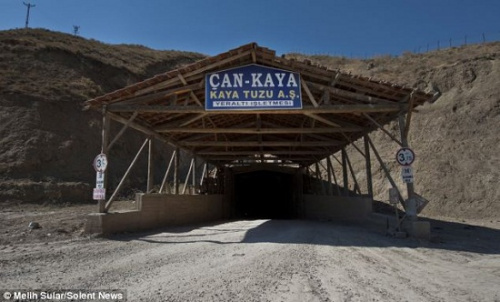 �ξ������ƽ������