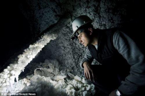 �ο������ڹ۲��ο��ʵ�