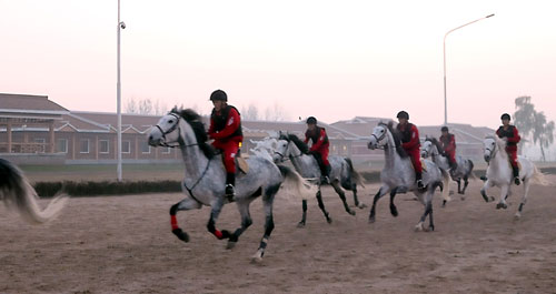 ͼƬ��Դ�����ʡ��Ͷ����š�