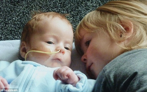 �����´�Ļ���������������˹