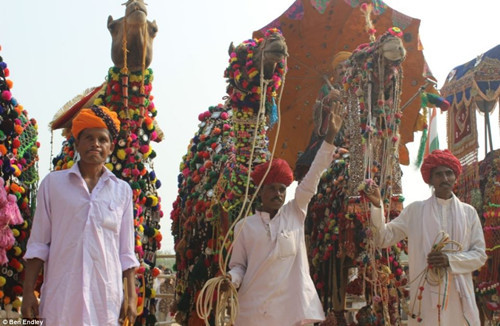 ͼƬ������ľ��ǽ��ꡰ��ѹȺ���������գ��������ֽ����޻���