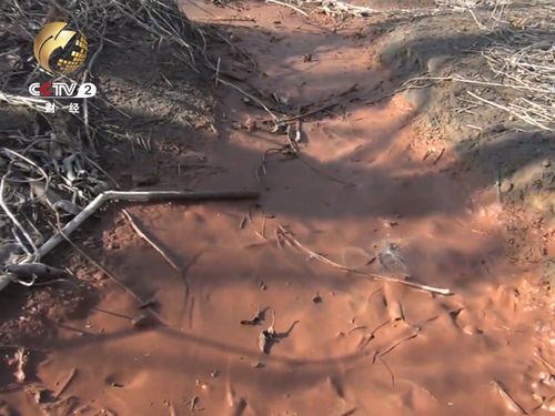 �½�������ų�����ˮ����������