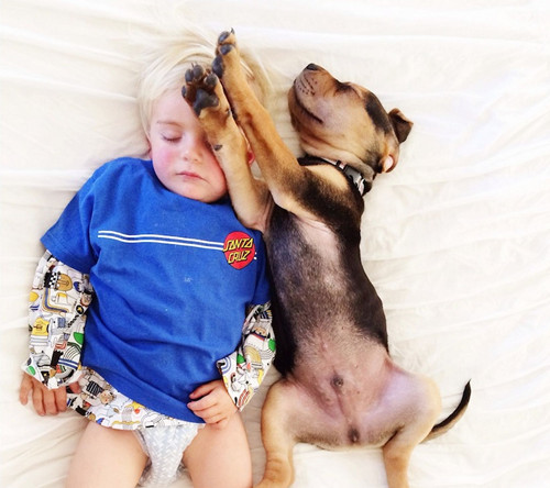 �Ȱ��롰���¡�һ���ߵ������е���Ÿ�Ц��