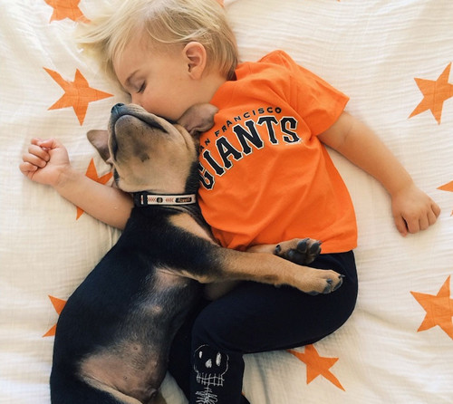 ����������ʾ���Ȱ��롰���¡�����������һ��Ĭ����