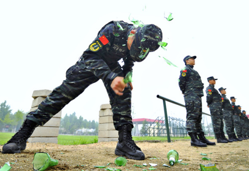 սʿ�����ؼ����ݡ�ͼƬ��Դ�������侯�� 