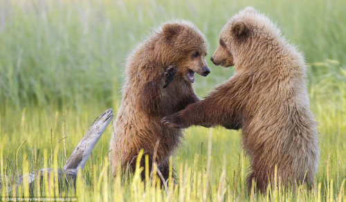 ��ֻС���ڽ���һ�����ҵ�ȭ������