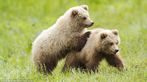 ��ֻС����ˣ׷����֡�