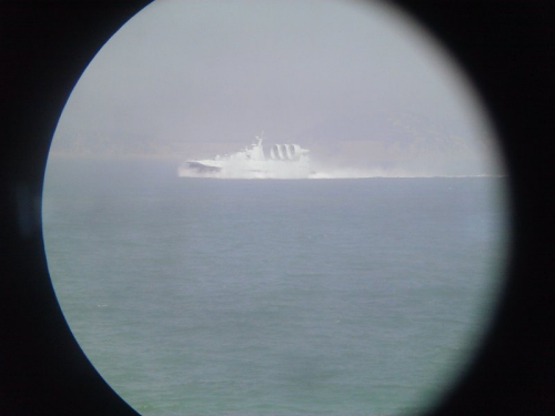  �����й���Ұţ�����洬�����Ϻ��񱼲���(��ͼ)