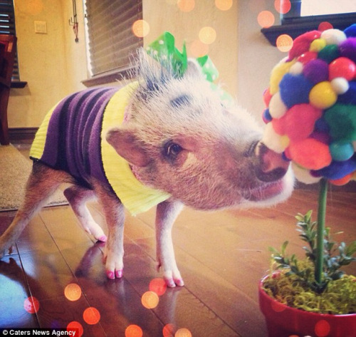 �������ڼ��ҲҪ��������Ϳ��ָ�ף����ǰ���С���ġ�ְҵ���ء���