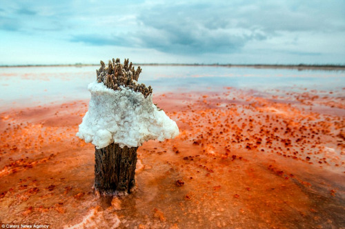 ��Ƭ��������������������ˮ�ɼ����������Ѿ�������