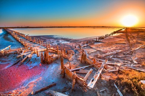 ���ﱻ��������ʴ֮��������Ϊ����ɢ�������ܵ���ζ��