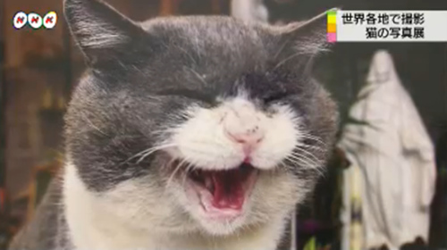 Ӱչ��չ������Ʒ