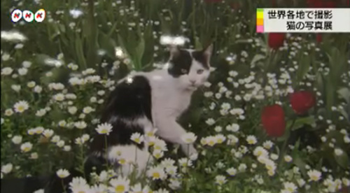 ����չ������Ʒ