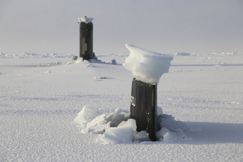 ������ǱͧȺ��������� ͷ��˶�����(��ͼ)