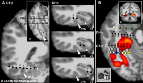 �ڵ��ʾ��Ŵ̼�������