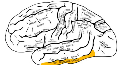 ���̼���ͼ�ϻ�ɫ����ʱ��־Ը�߱�ʾ������ʿ������ʼŤ������