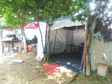 λ���϶����ǹ�԰������������䡰�����ҡ�������� ��