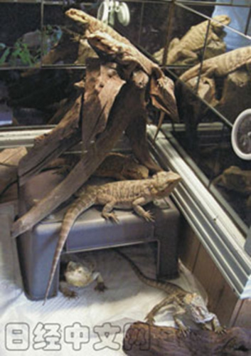 �����ж���Ϊ����Ŀ��ȵ�