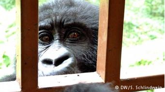 ���ﱣ�����巢��Ϊ��Գ��ȡ����Ȩ��