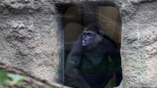 ��˹�п˶���԰��һ�������ɾ���