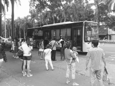  �˿�ʮ����ϣ����Աߵȴ� (ͼƬ��������)