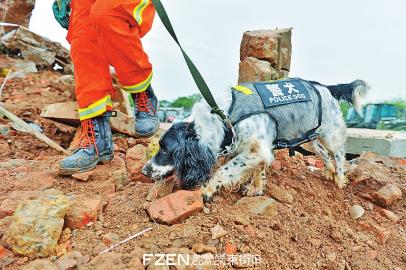 �Ѿ�Ȯ������Ѱ�������ߡ��� 