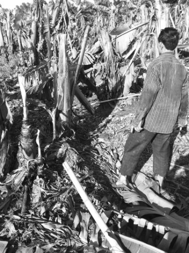  �����忴�ŵ��ص��㽶��������