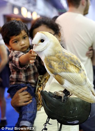 һ��С��������ֻèͷӥ��ˣ��