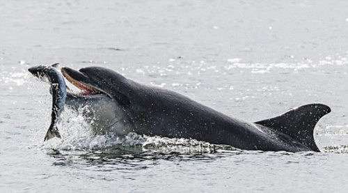 ������Ϊ�������ߵĺ��࣬������ҲҪ��ԭ��