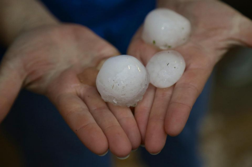 ���µı����а����С