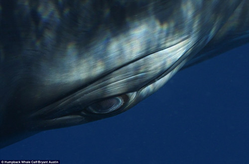 �����������㵽�˾���ĺܶ�ϸ�ڡ�