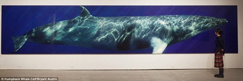 ��Щʵ���С��ͼƬĿǰ���ڰĴ����ǵĲ������չ����