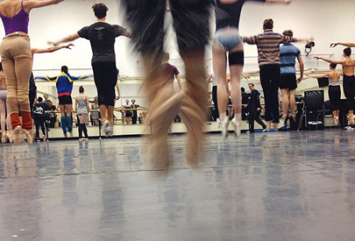 ��û����Ȼ��ľ�Ժ�ŦԼ����������Ա�����Ҿ��ʵ�����������