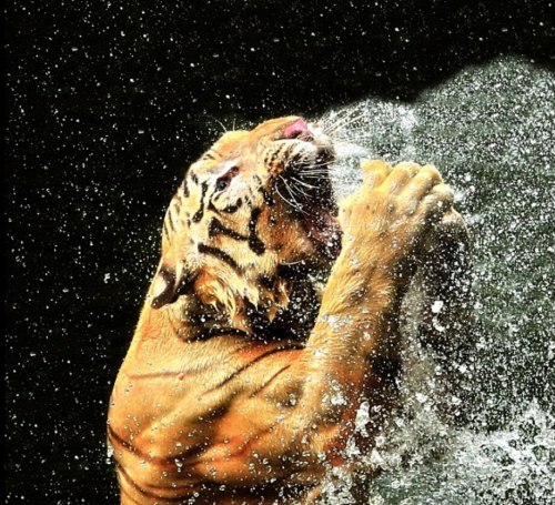 �����ͬ�����������ס����������ˮ