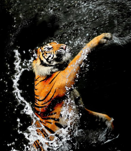 �ϻ���I believe I can fly�����ҿ�����