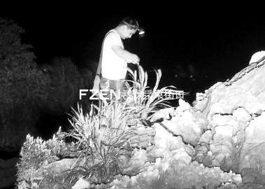 һ��������·����������������