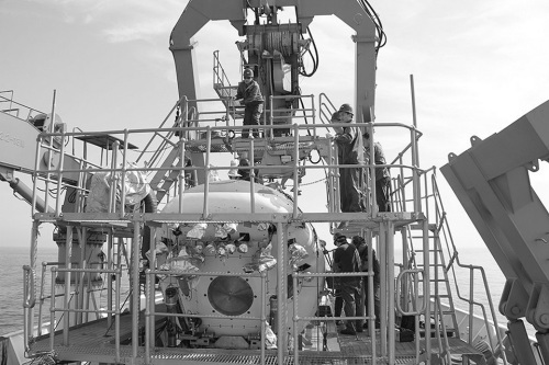 ������Ա�ԡ��������Ž���ȫ��ͨ����