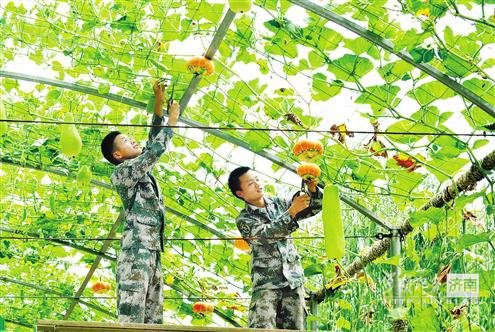 长廊管理精细到位 长廊管理精细到位