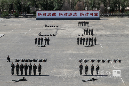 ѵ������������