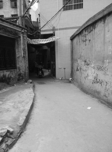  С�������ж�Ұ�Ħ��