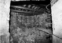 �ﱤ���ʧ�ޣ��ڲ��ưܲ�����