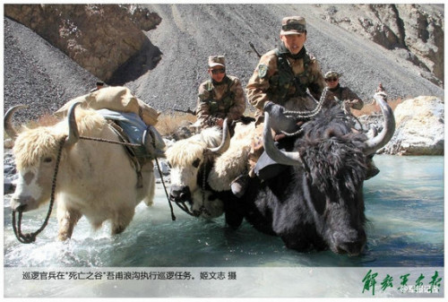 ��ž�����ţѲ�ߡ�����֮�ȡ�