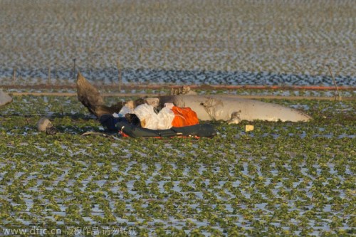 �����������ظ���1��ս��׹��