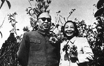 ���ٻ�����������������ֲ��԰��������Ӱ