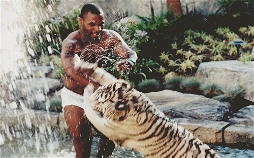 ̩ɭ���˷ǳ�ϲ�ø��ӡ��������ĳ�������������������Ļ���3ֻ�ʼ��ϼ�������