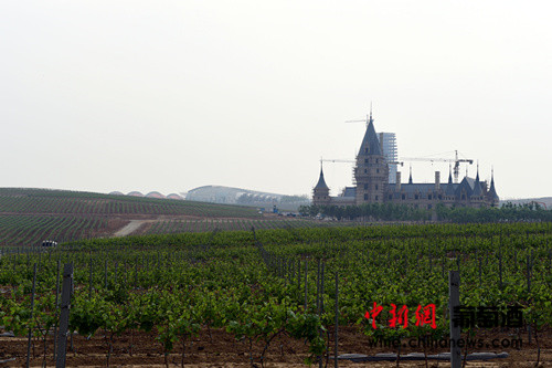 ���ڽ������ԣ�����ؾ�ׯ