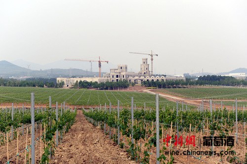 ���ڽ������ԣ���Ű����ؾ�ׯ