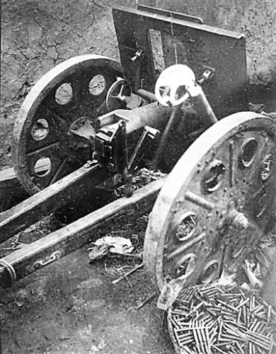 �ɻ���վ��Ŷ������ڡ�