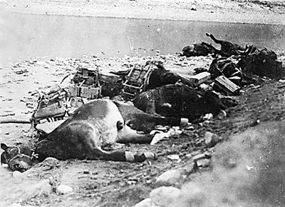 ���е��վ�ս����