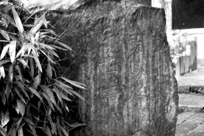 ��ŷ������ֲ÷������